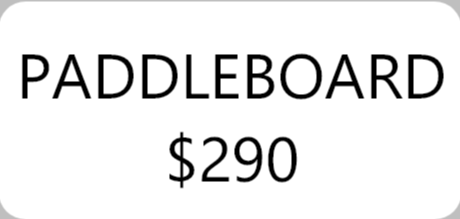 Paddleboard $290