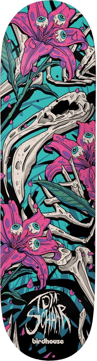 Birdhouse Tom Scharr Tillbrook 8.38 Skateboard Deck